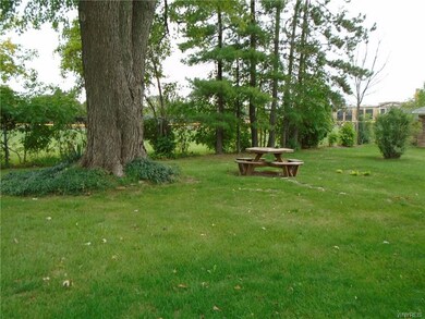 Rear yard with no rear neighbors