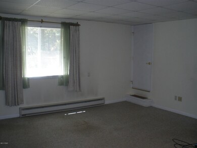 14 Hailex Ln, Hawley, PA 18428 - photo 5