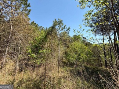 0 Eastview Trail unit 10505790, Ellijay, GA 30536 - photo 3