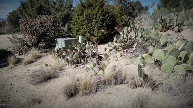 IMG_20160210_125936238