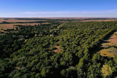 Rr Putnam Ok, Putnam, OK 73659 - photo 2