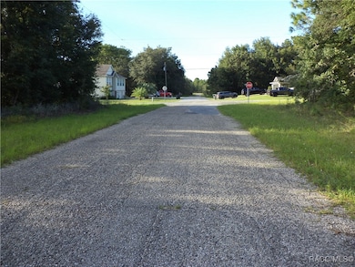 6424 N Matheson Dr, Citrus Springs, FL 34434 - photo 2