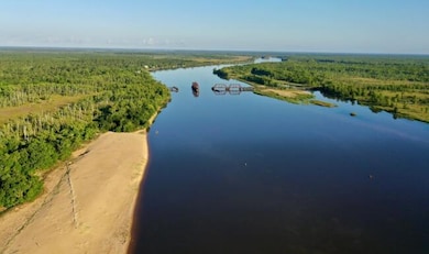 135 Water Oaks Way, Apalachicola, FL 32320 - photo 2