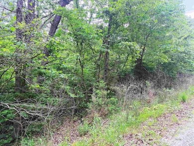 Highlander Place unit J 2, Edwards, MO 65326 - photo 4