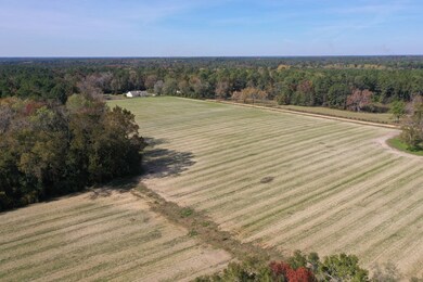 251 McDonald Rd, Thomasville, GA 31757 - photo 4