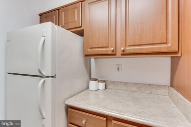 5827 Cove Landing Rd unit 201, Burke, VA 22015 - photo 5