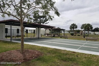 Shuffleboard