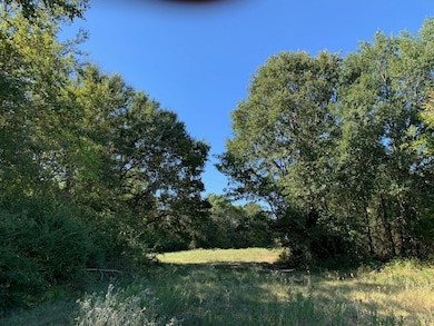 133 ac Hwy 39, Normangee, TX 77871 - photo 2