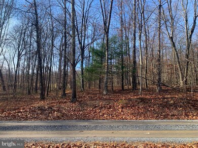 Lot 18 Sleepywoods Rd, Cross Junction, VA 22625 - photo 5