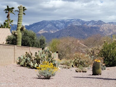 Beautiful Mountain Views