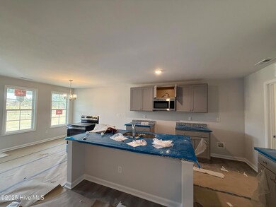 13 E Emily Gardens Dr, Selma, NC 27576 - photo 3