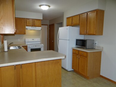 425 Vorndran Dr, Belleville, WI 53508 - photo 5