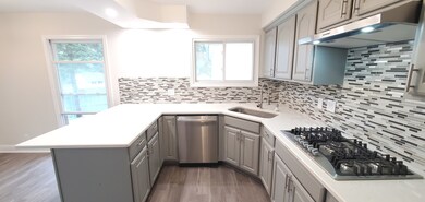 169 Austin Ave, Carpentersville, IL 60110 - photo 5