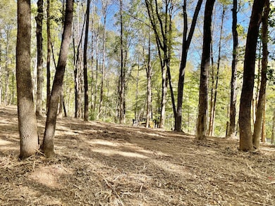 0 Harper Rd unit RTC2945401, Clarksville, TN 37043 - photo 7