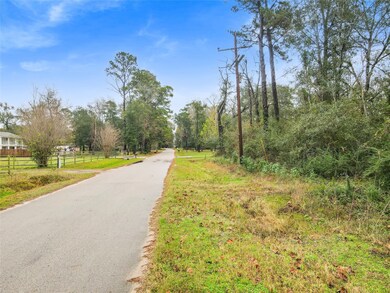 10514 Ehlers Rd, Conroe, TX 77302 - photo 4