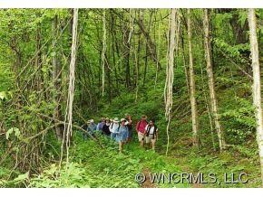 Hiking at Balsam