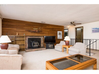 Fireplace Pellet Stove