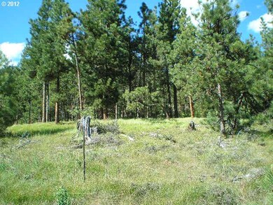 0 0 unit 12007864, Sumpter, Or, OR 97877 - photo 2