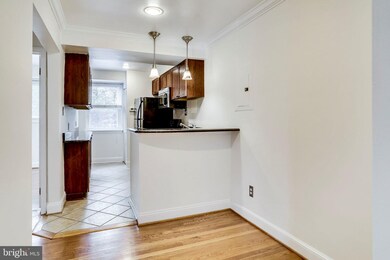 8708 Bradford Rd unit 202, Silver Spring, MD 20901 - photo 3