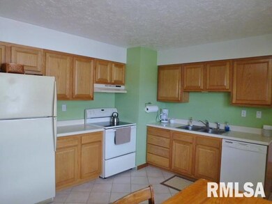 230 Heritage Ave, Lincoln, IL 62656 - photo 5