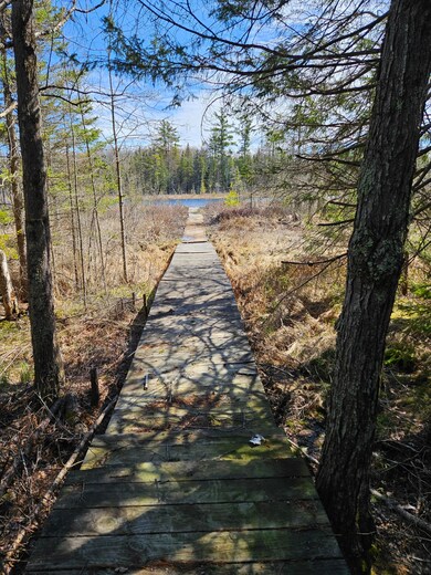 Lake view
