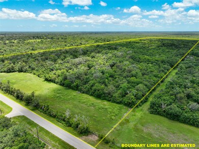 View of the 73 Acres with CR 461 Frontage.  Over 9