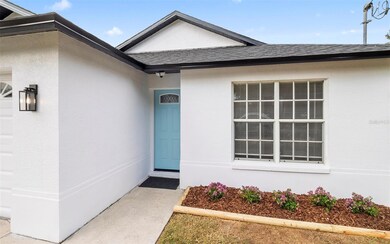 212 2nd Ave SE, Lutz, FL 33549 - photo 4