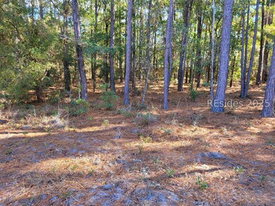 TBD Beavers Rd, Ridgeland, SC 29936 - photo 7