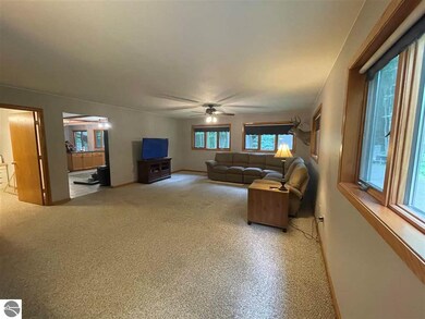 4834 E Michigan Ave, Au Gres, MI 48703 - photo 5