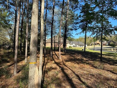 1408 Covewood Dr, Tyler, TX 75703 - photo 4