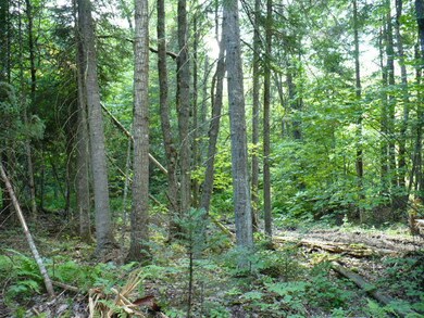TBD McCarthy Rd, Pittsfield_Image 6