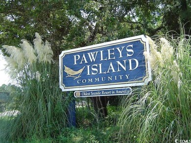 80 Mullet Bay Rd unit Lot 13 Marsh Pointe, Pawleys Island, SC 29585 - photo 2
