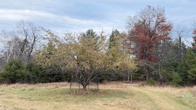 Lt3 Boat Landing 11 Rd, Athelstane, WI 54104 - photo 3