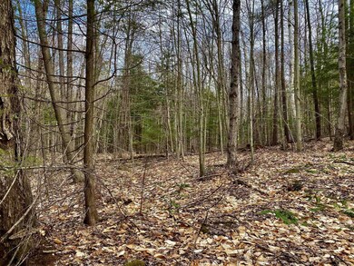 0 Raisig Rd unit 202121066, Corinth, NY 12822 - photo 5