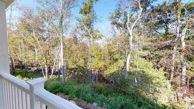 254 Rivers Edge Dr, Conway, SC 29526 - photo 7