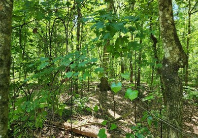 0000 SW Delaware Way, Fort White, FL 32038 - photo 6