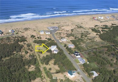 917 Pheasant Run Dr, Westport, WA 98595 - photo 4