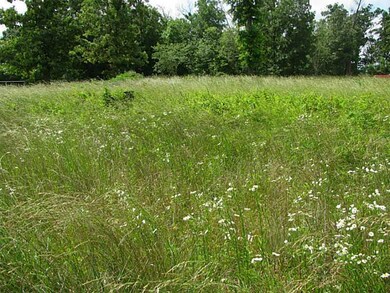 0 W Hwy 72 Hwy unit 696015, Bentonville, AR 72712 - photo 6