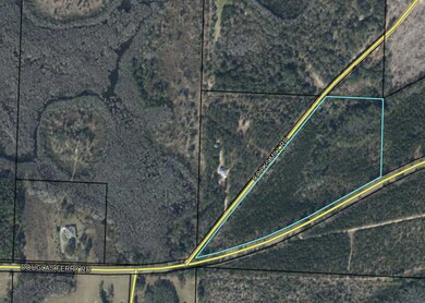 Tract#6408 Cooks Mill Rd unit C, Bonifay, FL 32425 - photo 4