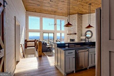 530 Tower Rd unit 3, Mineral Bluff, GA 30559 - photo 4