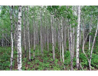 Land/Lot.