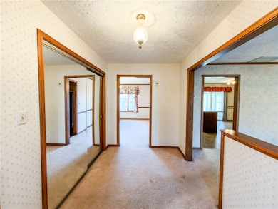 17383 N Hummingbird Ln, Marshall, IL 62441 - photo 4