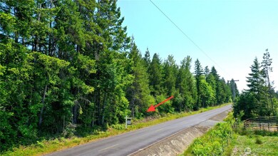 0 Boone Rd unit NWM2362322, Toledo, WA 98591 - photo 5