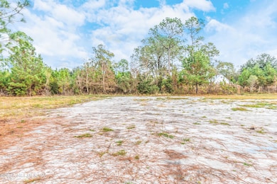 13121 NE 235th Ct, Raiford, FL 32083 - photo 5