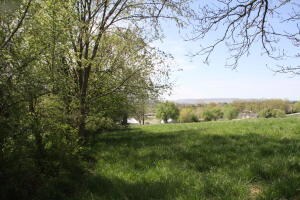 7.38 ac Bunker Rd, Harrison, AR 72601 - photo 4