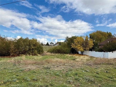 0 Lesina Dr, Elizabeth Lake, CA 93532 - photo 2