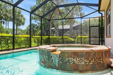 Pool & Spa