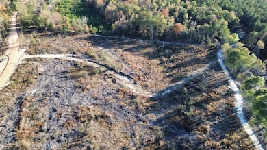 5 Gatewood Rd, Pittsview, AL 36871 - photo 4