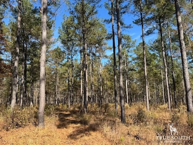 Rd, Luray, SC 29932 - photo 5