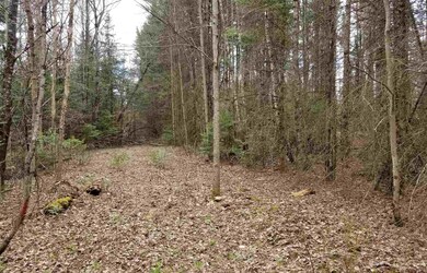 0 Faraway Rd unit 4670970, Dalton, NH 03598 - photo 7